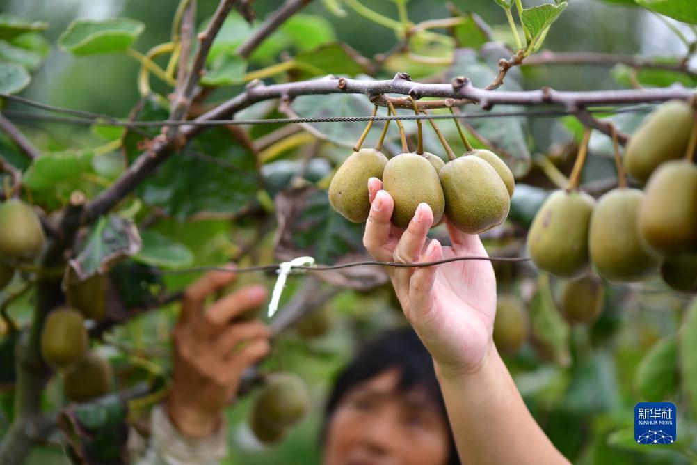 超级大满贯下载